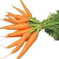 Carrot-meaning-in-urdu-hindi-gajar-گاجر