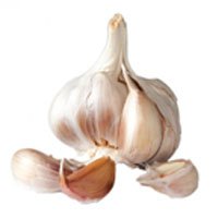 garlic-meaning-in-urdu-and-hindi