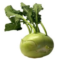 Kohlrabi-meaning-in-urdu-hindi-