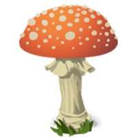 Mushroom-meaning-in-urdu-hindi