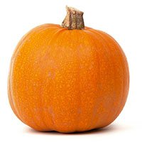 Pumpkin-meaning-in-urdu-hindi-kdoo-کدو