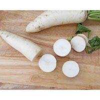 white-Radish-meaning-in-urdu-hindi-moli-مولی