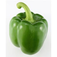 green pepper-meaning-urdu-hindi-shimla mirch-شملہ مرچھ