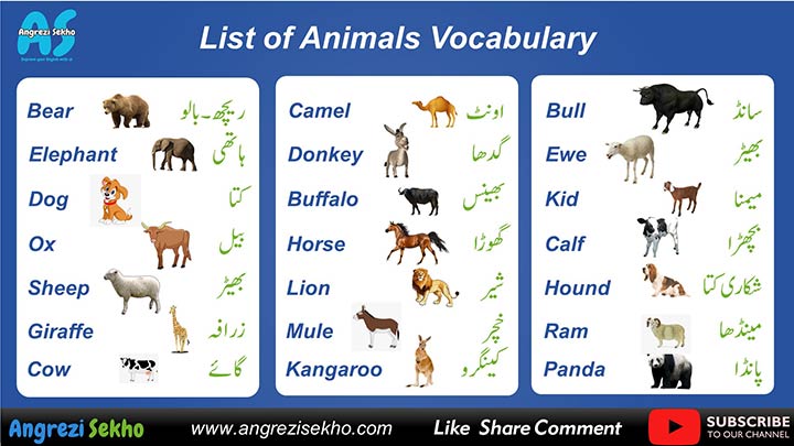 list of animals in urdu for english learners to improve vocabulary