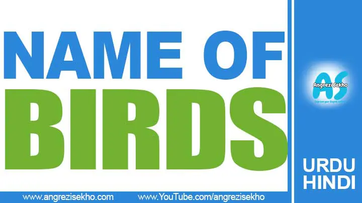 List-of-Different-Birds-Name