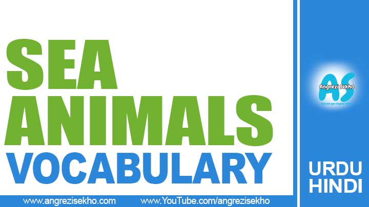 List-of-Sea-Animals-Vocabulary-–-Water-Animals-Names-in-Urdu-Hindi