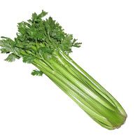 Celery-meaning-in-urdu-hindi