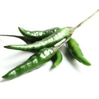 Chilli meaning in urdu and hindi