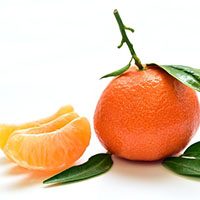 Clementine meaning in urdu hindi