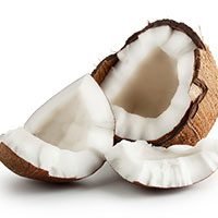 Coconut