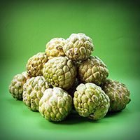 Custard-Apple meaning in urdu hindi