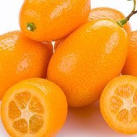 Kumquat-meaning-in-urdu-hindi