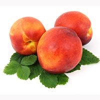 Nectarine-meaning-in-urdu-hindi