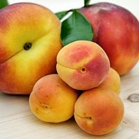 Peaches-meaning-in-urdu-hindi