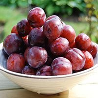 Plums-meaning-in-urdu-hindi