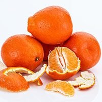 Tangerine in urdu hindi