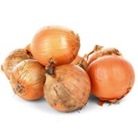 onion-meaning-in-urud-and-hindi-پیاز