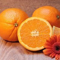 orange-meaning-in-urdu-hindi