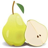 pear-meaning-in-urdu-hindi-nashpati-ناشاپاتی