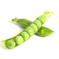 peas meaning in urdu