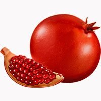 pomegranate-meaning-in-urud-hindi