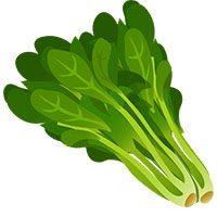 spinach-meaning-in-urdu-hindi-palak-پالک
